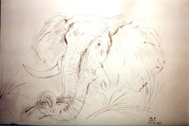 Peinture intitulée "le fier éléphant" par Maeri, Œuvre d'art originale,