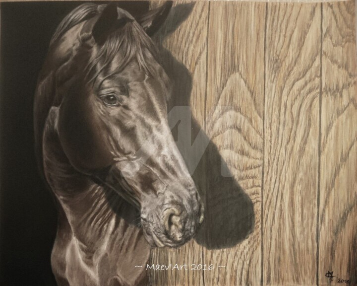 Peinture intitulée ""Envie de liberté"" par Maev'Art, Œuvre d'art originale, Pastel