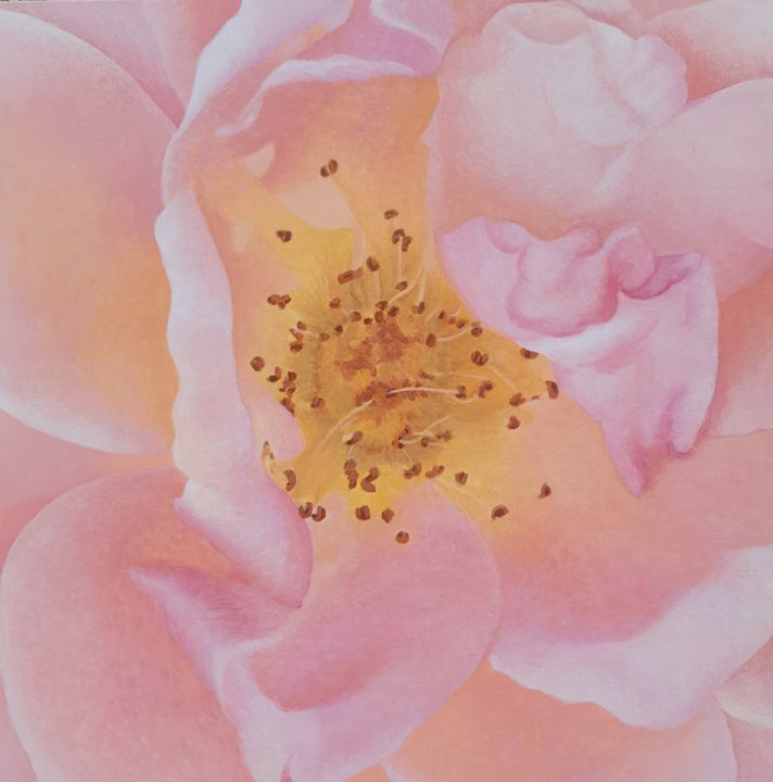"Coeur de rose pâle" başlıklı Tablo Magali Augris tarafından, Orijinal sanat, Akrilik Ahşap Sedye çerçevesi üzerine monte ed…