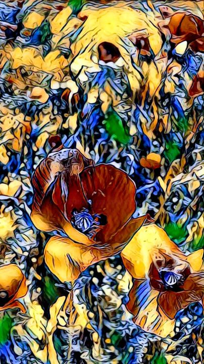 Photographie intitulée "Fleurs des champs.j…" par Balaya, Œuvre d'art originale,
