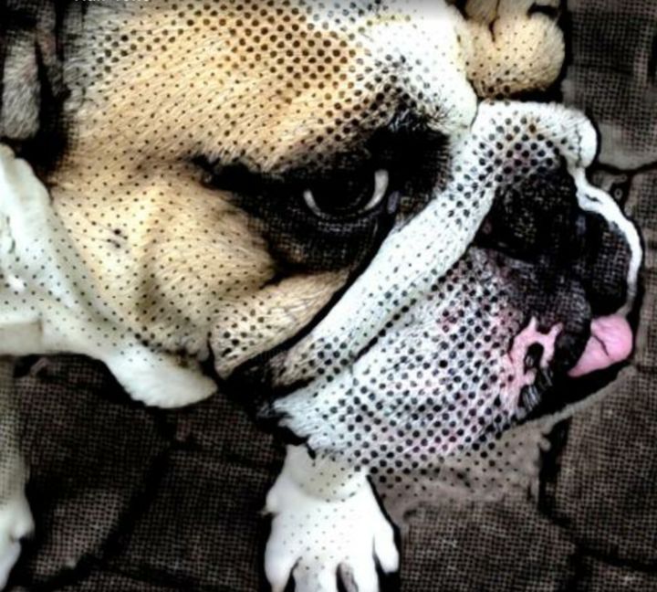 Digital Arts titled "bouledogue-francais…" by Balaya, Original Artwork