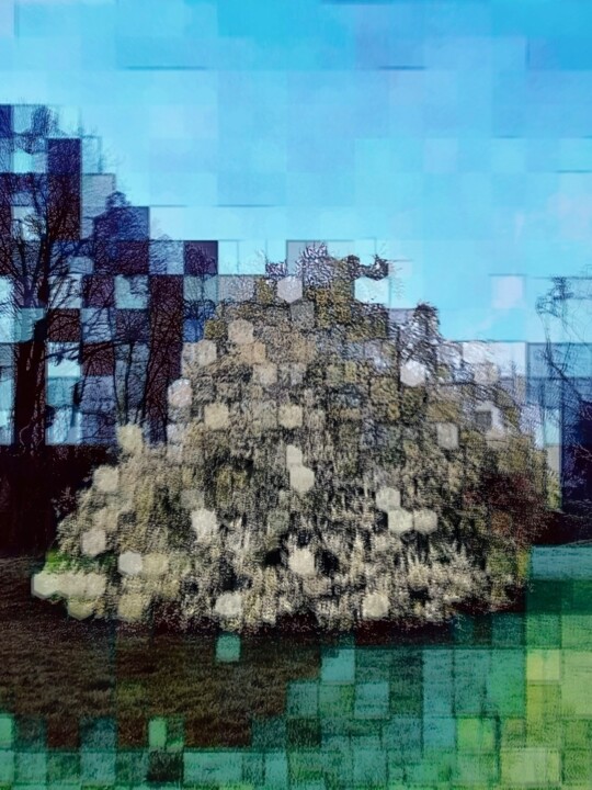 Digital Arts titled "plum tree in bloom…" by Marcelle Delacité, Original Artwork, Digital Painting