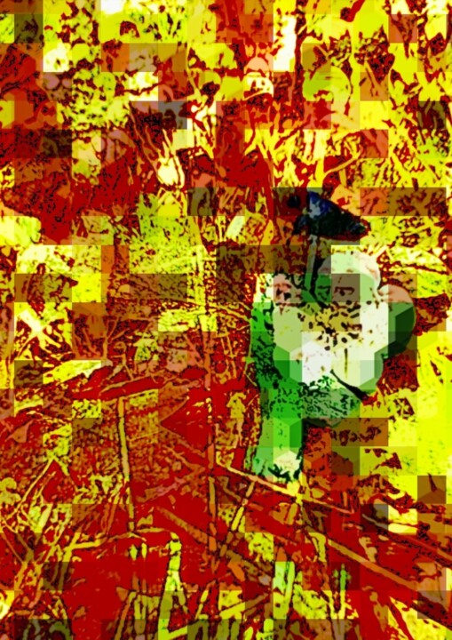 Digitale Kunst mit dem Titel "PENDANT LA PLUIE" von Marcelle Delacité, Original-Kunstwerk, Digitale Malerei