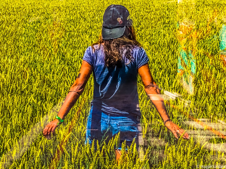 Photographie intitulée "Un champs de blés" par Mag Saillard, Œuvre d'art originale, Photographie numérique
