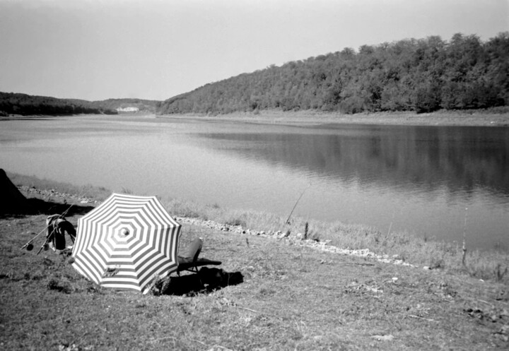 "umbrella" başlıklı Fotoğraf Magda Durda tarafından, Orijinal sanat, Fotoşopsuz fotoğraf