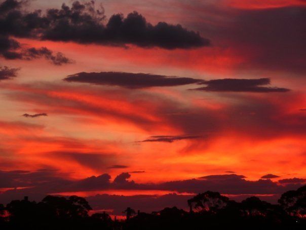 Digital Arts titled "BEALIBA SUNSETS" by Maggie Beresford, Original Art, Collages