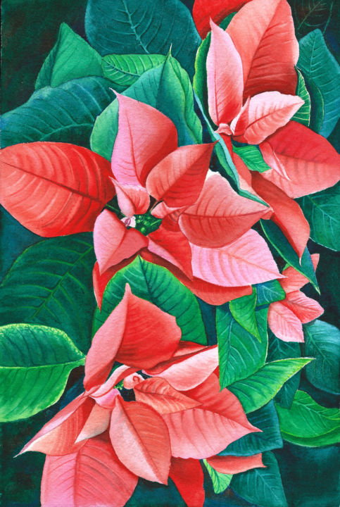 Peinture intitulée "Poinsettia Flower -…" par Svetlana Lileeva, Œuvre d'art originale, Aquarelle