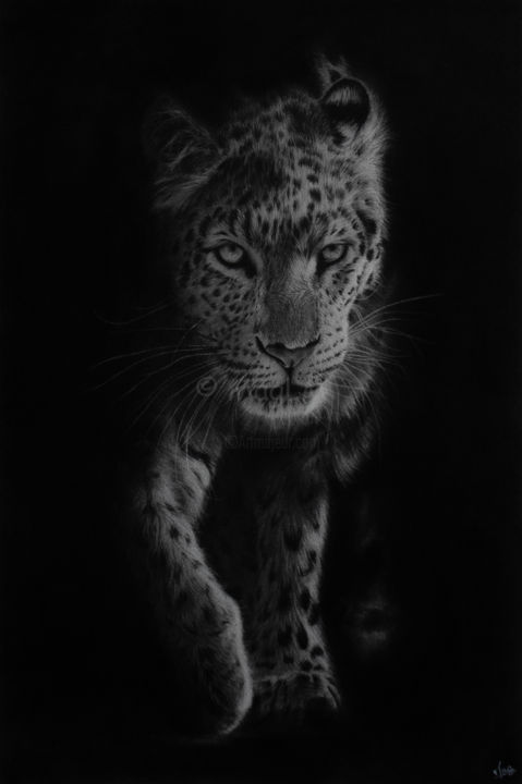 Drawing titled "Dans l'ombre" by Magali Lapeyre-Mirande, Original Art, Pencil