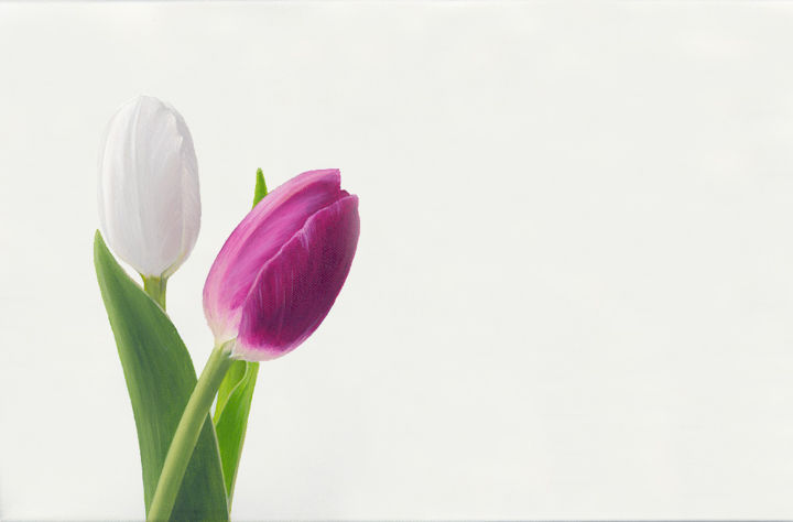 Painting titled "Tulips" by Rita Magos, Original Artwork, Oil