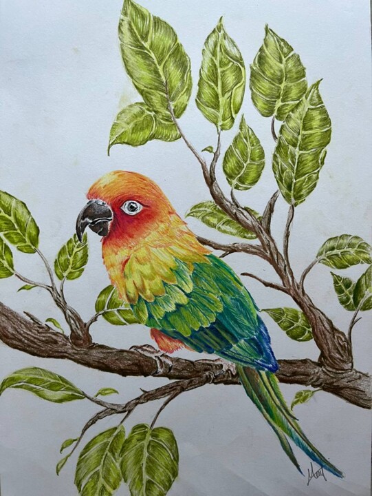 Drawing titled "Colorful Bird" by Mahmud Awang, Original Artwork, Pencil