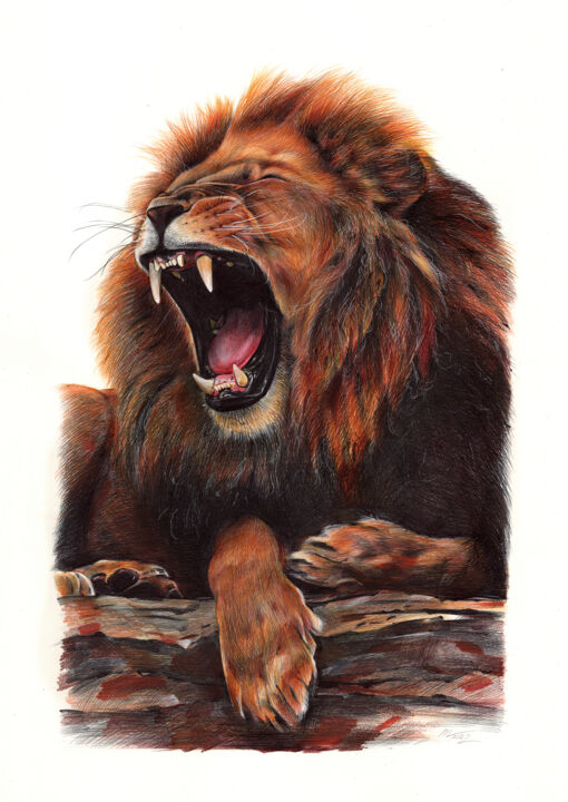 제목이 "African Lion - Anim…"인 그림 Daria Maier로, 원작, 볼펜