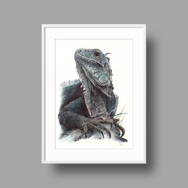  American Iguana (Photorealistic Ballpoin, Dibujo por Daria Maier