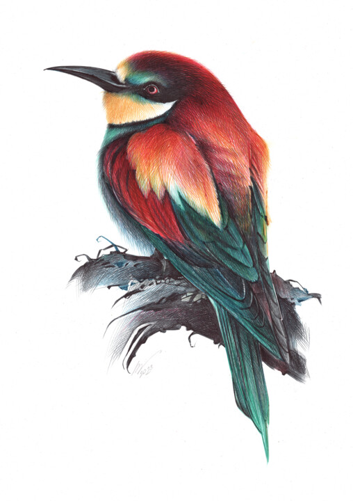 Disegno intitolato "European Bee-eater…" da Daria Maier, Opera d'arte originale, Biro