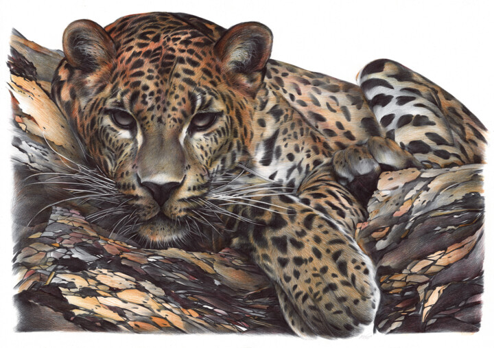 Dibujo titulada "Leopard (Realistic…" por Daria Maier, Obra de arte original, Bolígrafo