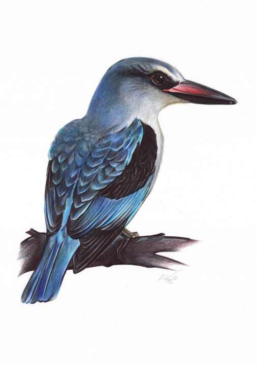 Drawing titled "Woodland Kingfisher…" by Daria Maier, Original Artwork, Ballpoint pen
