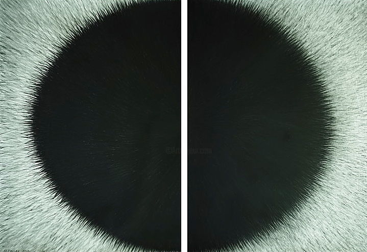 Dessin intitulée "Two Halves in Black" par Maja Poljak, Œuvre d'art originale, Crayon Monté sur Carton