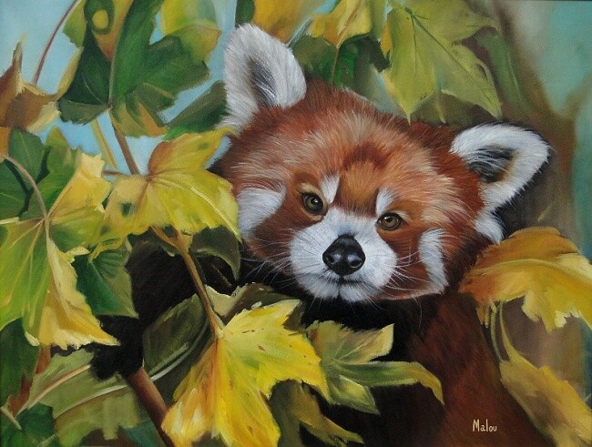 Malarstwo zatytułowany „Red panda” autorstwa Malou Pombo, Oryginalna praca, Olej