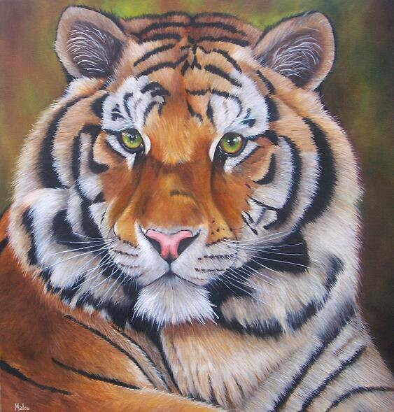 Painting titled "Tigre Siberiano" by Malou Pombo, Original Artwork, Oil
