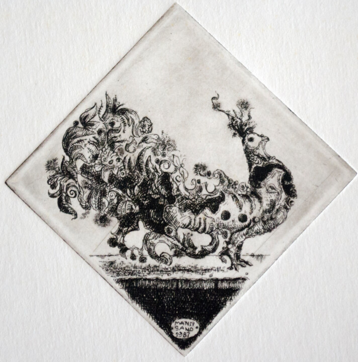 Incisioni, stampe intitolato "Venetian Bird" da Mandy Sand, Opera d'arte originale, incisione