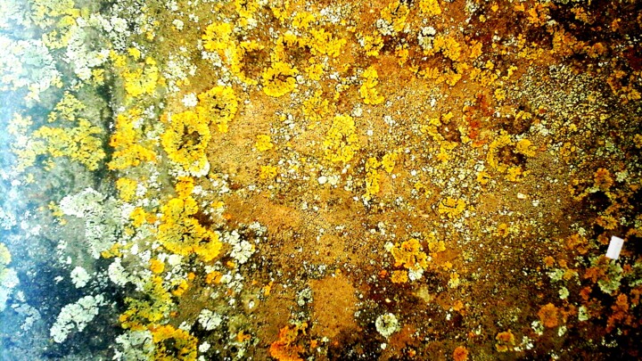 Arte digitale intitolato "I licheni di Bomarzo" da Mangani', Opera d'arte originale, Fotografia digitale