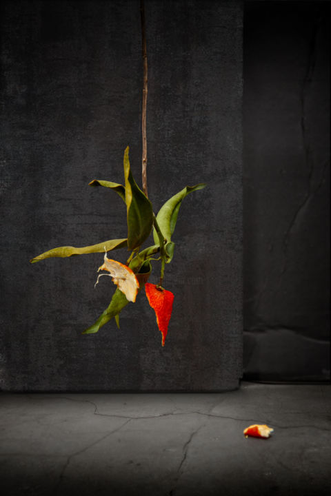 Photographie intitulée "Bouquet séché" par Jean-François Mansencal, Œuvre d'art originale, Photographie numérique