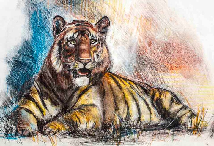 Dessin intitulée "Tiger at rest" par Manu Toxxic, Œuvre d'art originale, Pastel