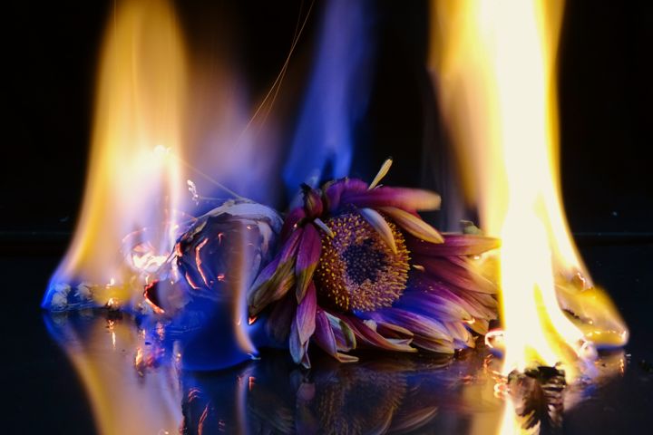 Photography titled "Fiery flowers" by Manuel Panìco, Original Artwork, Non Manipulated Photography