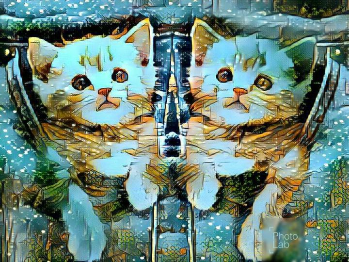 Photographie intitulée "Photo de chats revu…" par Florence Castelli  Flofloyd, Œuvre d'art originale