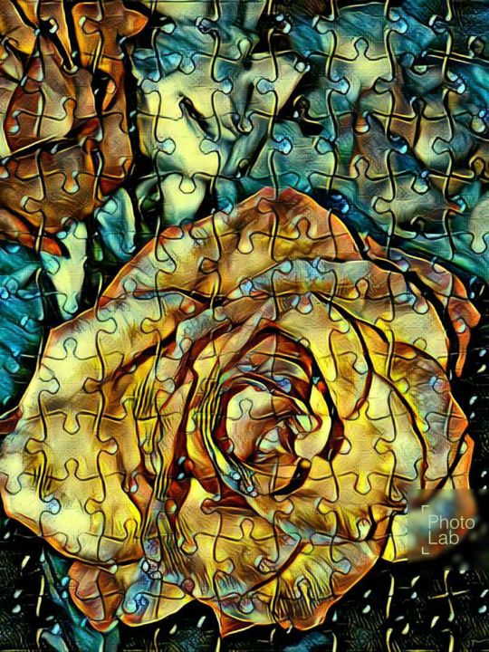 Photography titled "Une rose dans toute…" by Florence Castelli  Flofloyd, Original Artwork
