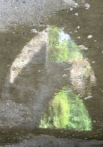 Photographie intitulée "Abbaye de Villers II" par André Maquestiau, Œuvre d'art originale