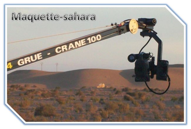 Photographie intitulée "grue crane" par Maquette Sahara, Œuvre d'art originale