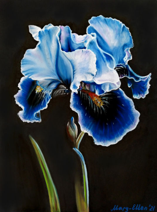 Painting titled "Blue Iris" by Mariam Mary Ellen, Original Artwork, Pastel