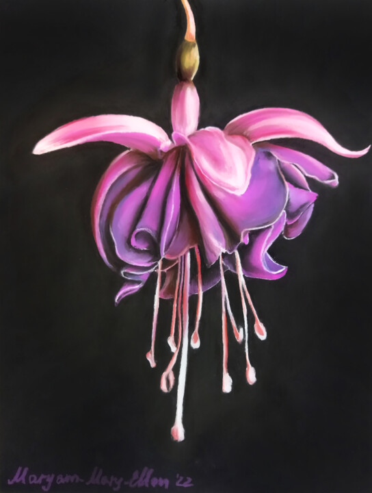 Malerei mit dem Titel "Fuchsia blossom" von Mariam Mary Ellen, Original-Kunstwerk, Pastell