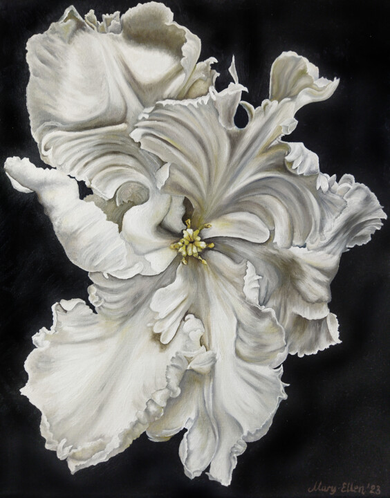Painting titled "White tulip" by Mariam Mary Ellen, Original Artwork, Oil