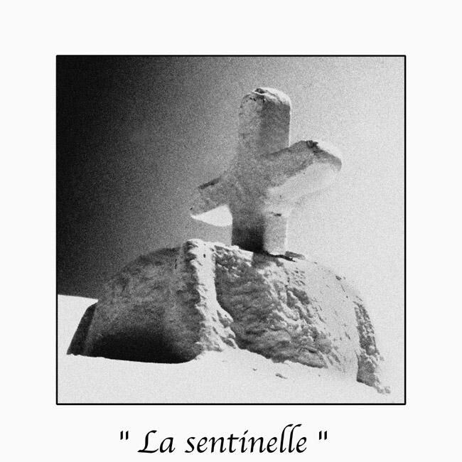 Photography titled "La sentinelle" by Marc Acquaviva, Original Artwork