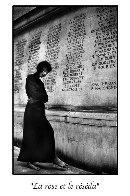 Fotografia zatytułowany „La rose et le réséda” autorstwa Marc Acquaviva, Oryginalna praca