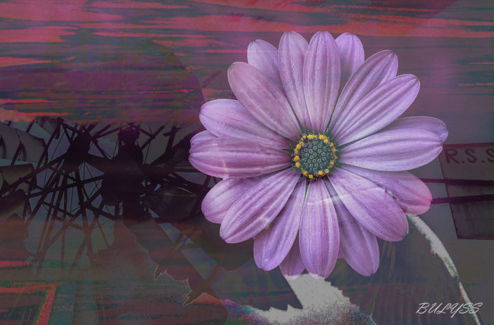 Arts numériques intitulée "Purple Flower" par Marc Bulyss, Œuvre d'art originale, Photo montage