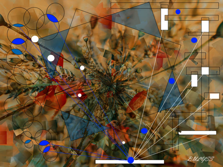 Digital Arts titled "Botanic Explosion" by Marc Bulyss, Original Artwork, Digital Painting