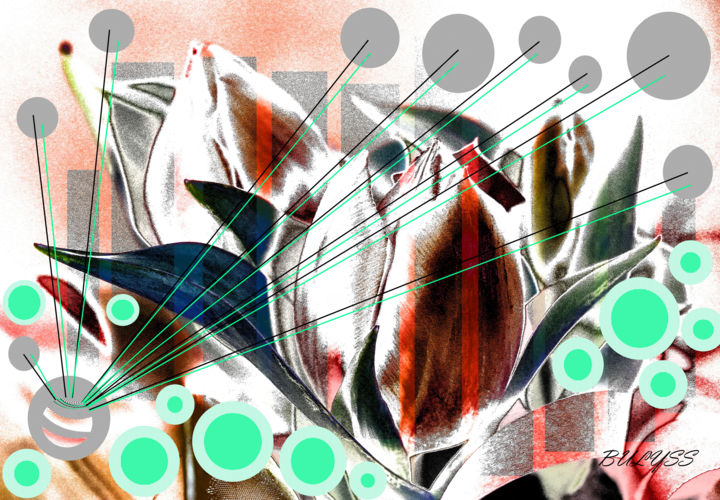 Digital Arts titled "Tulip in transition" by Marc Bulyss, Original Artwork, Digital Painting