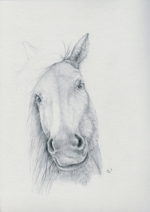 Dessin intitulée "Tête de cheval" par Vuillermoz Marc, Œuvre d'art originale, Graphite