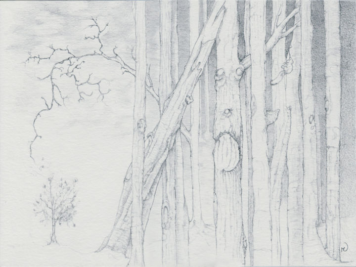 Tekening getiteld "Forêt étrange" door Marc Vuillermoz, Origineel Kunstwerk, Grafiet