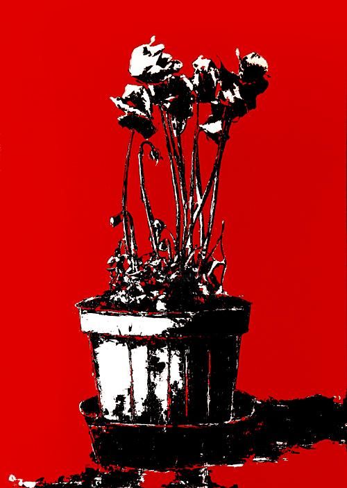 Peinture intitulée "Fleurs" par Marco Lamanna, Œuvre d'art originale, Huile
