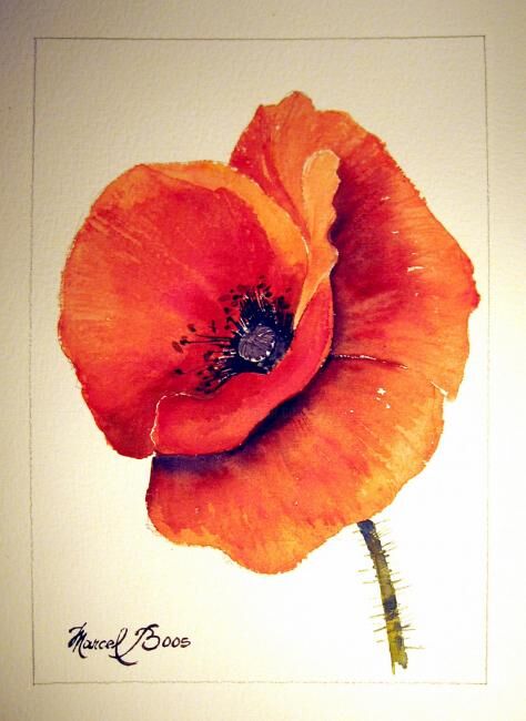 Malerei mit dem Titel "Coquelicot en solo" von Marcel Boos, Original-Kunstwerk