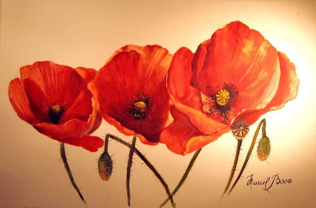 Painting titled "Coquelicot en trio" by Marcel Boos, Original Artwork
