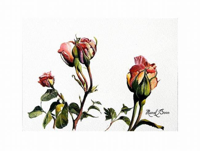 Peinture intitulée "Roses en bouton" par Marcel Boos, Œuvre d'art originale
