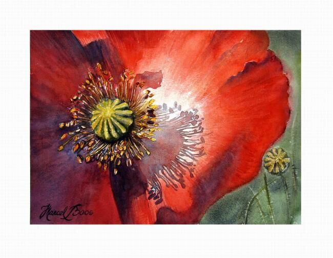 Painting titled "Coquelicot macro" by Marcel Boos, Original Artwork