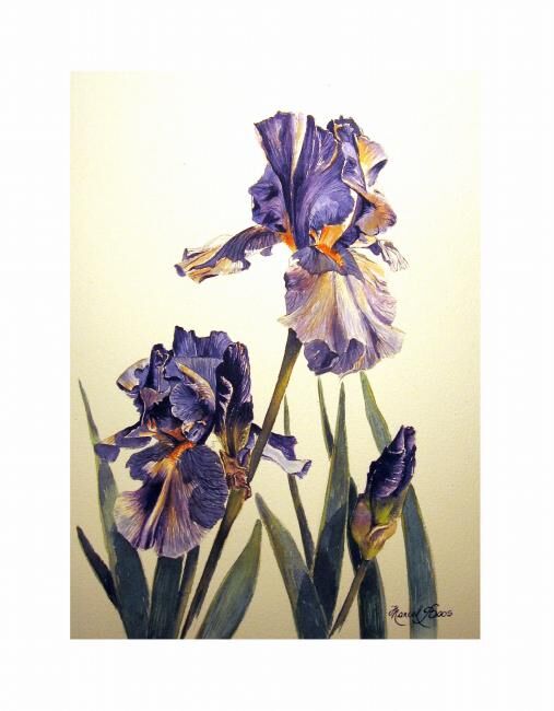 Schilderij getiteld "IRIS Violet" door Marcel Boos, Origineel Kunstwerk