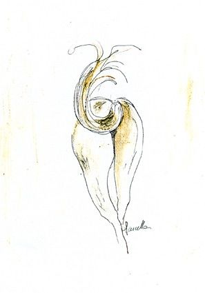 Dessin intitulée "la croupe" par Marcella M, Œuvre d'art originale, Autre
