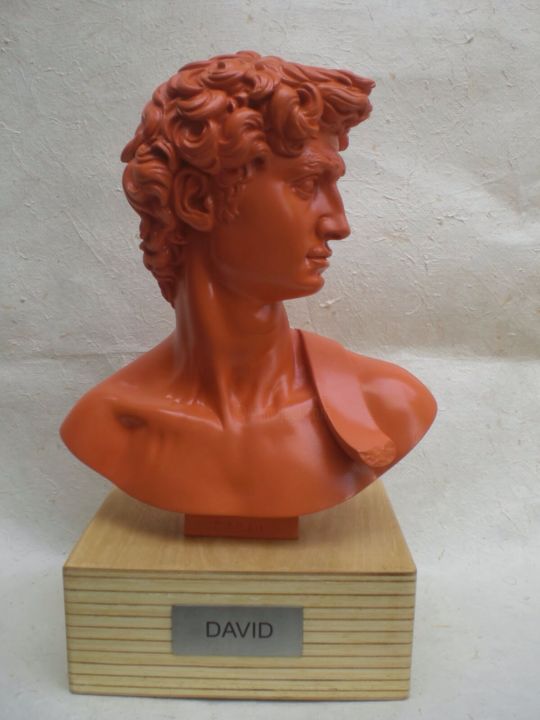 Скульптура под названием "David (laranja - or…" - Marcelo Palmeira, Подлинное произведение искусства, Смола