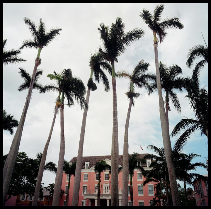 Photographie intitulée "61311x11.jpg" par Marcia Goldner Treiger, Œuvre d'art originale